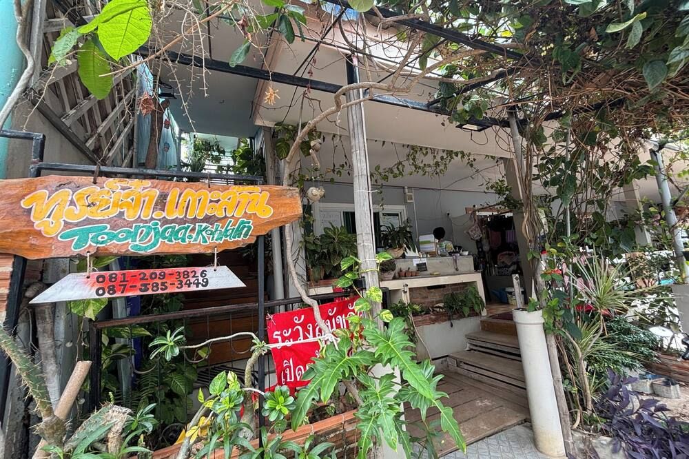 المظهر الخارجي