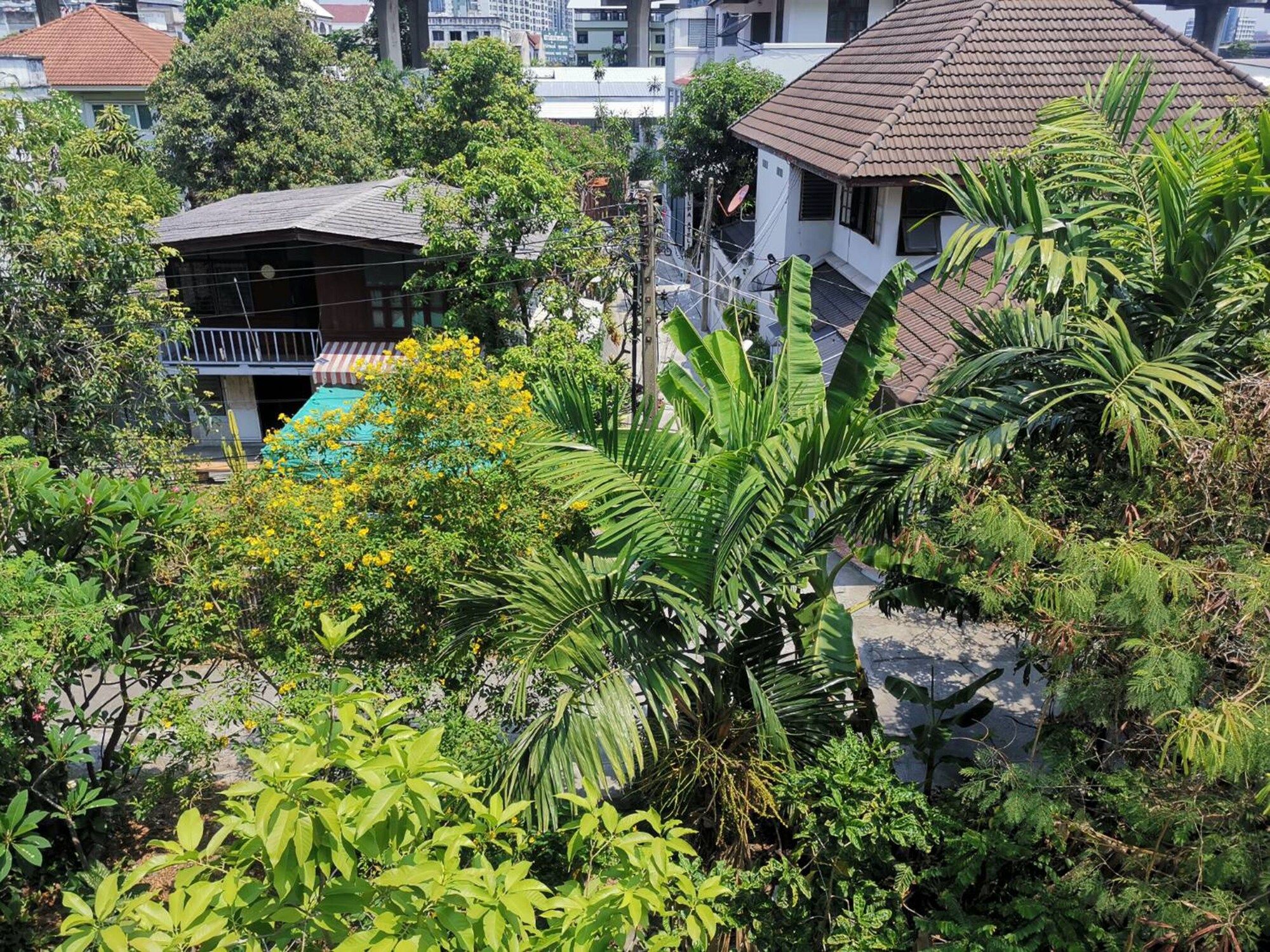 المظهر الخارجي