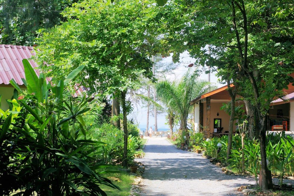 المظهر الخارجي