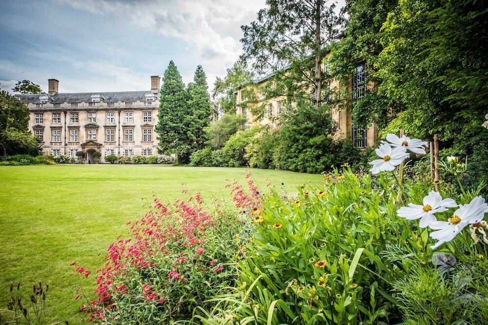 المظهر الخارجي