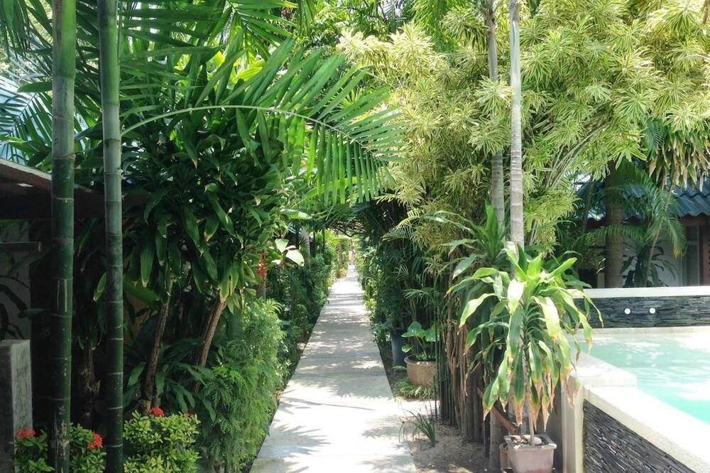 المظهر الخارجي