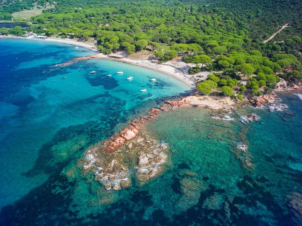 المظهر الخارجي