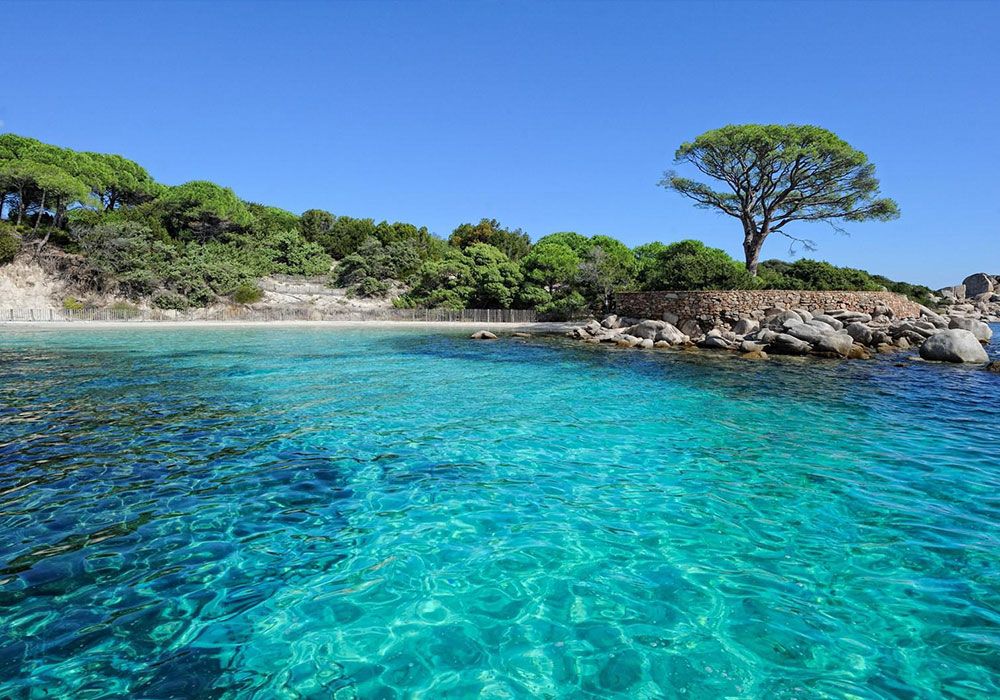 المظهر الخارجي