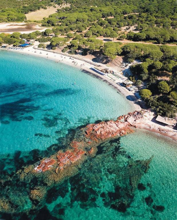 المظهر الخارجي