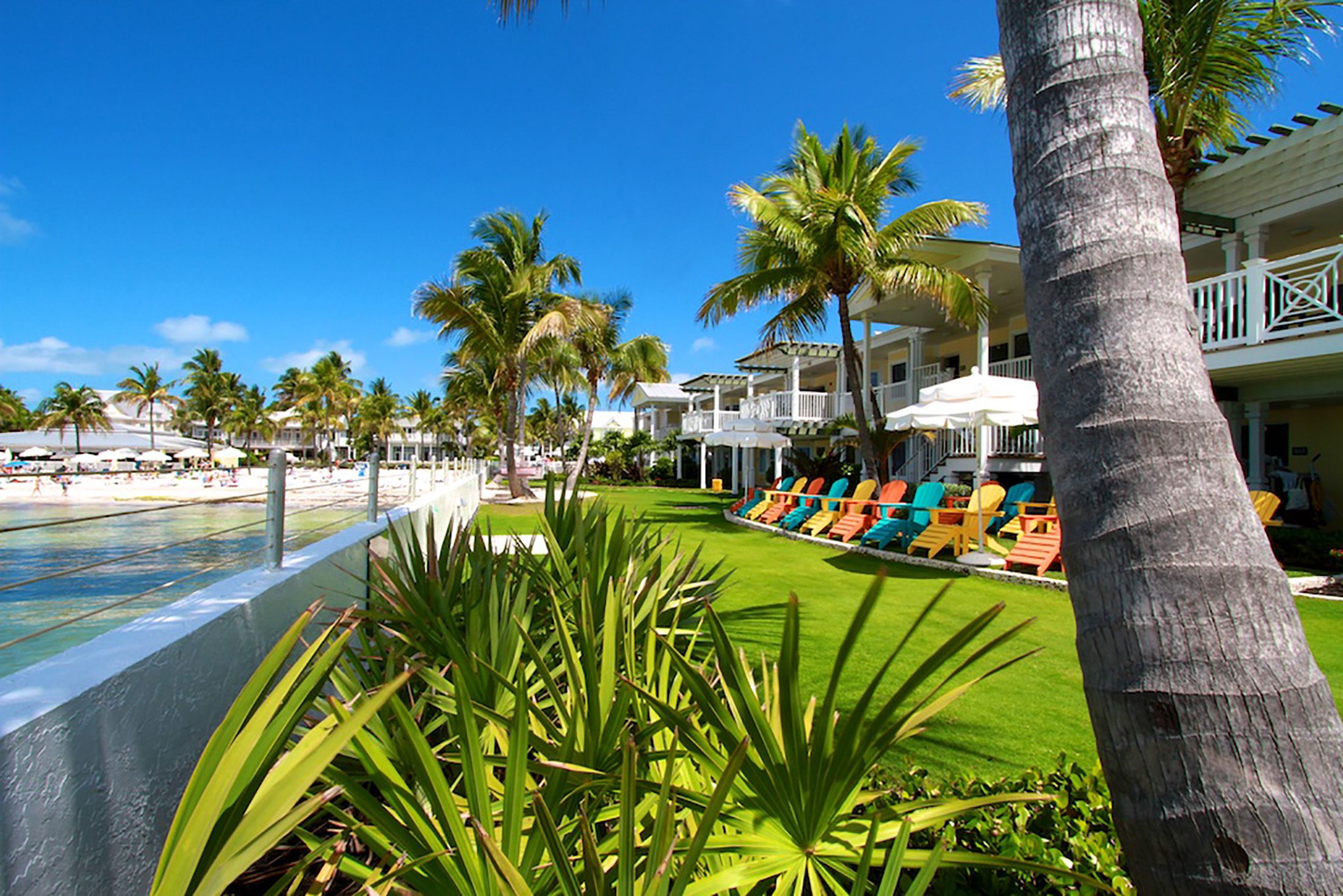 المظهر الخارجي