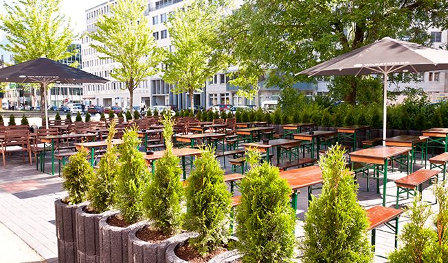 المظهر الخارجي