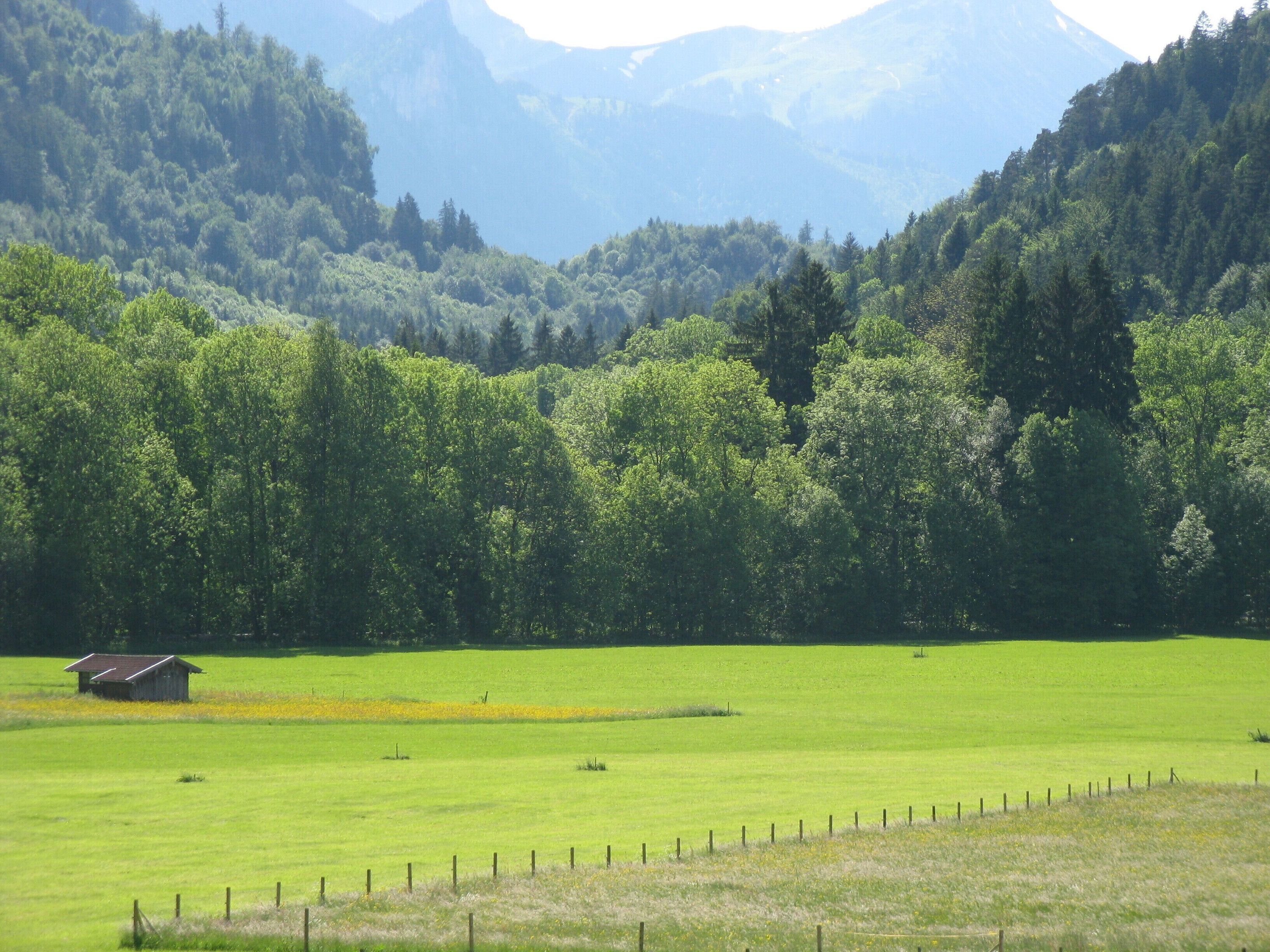 المظهر الخارجي
