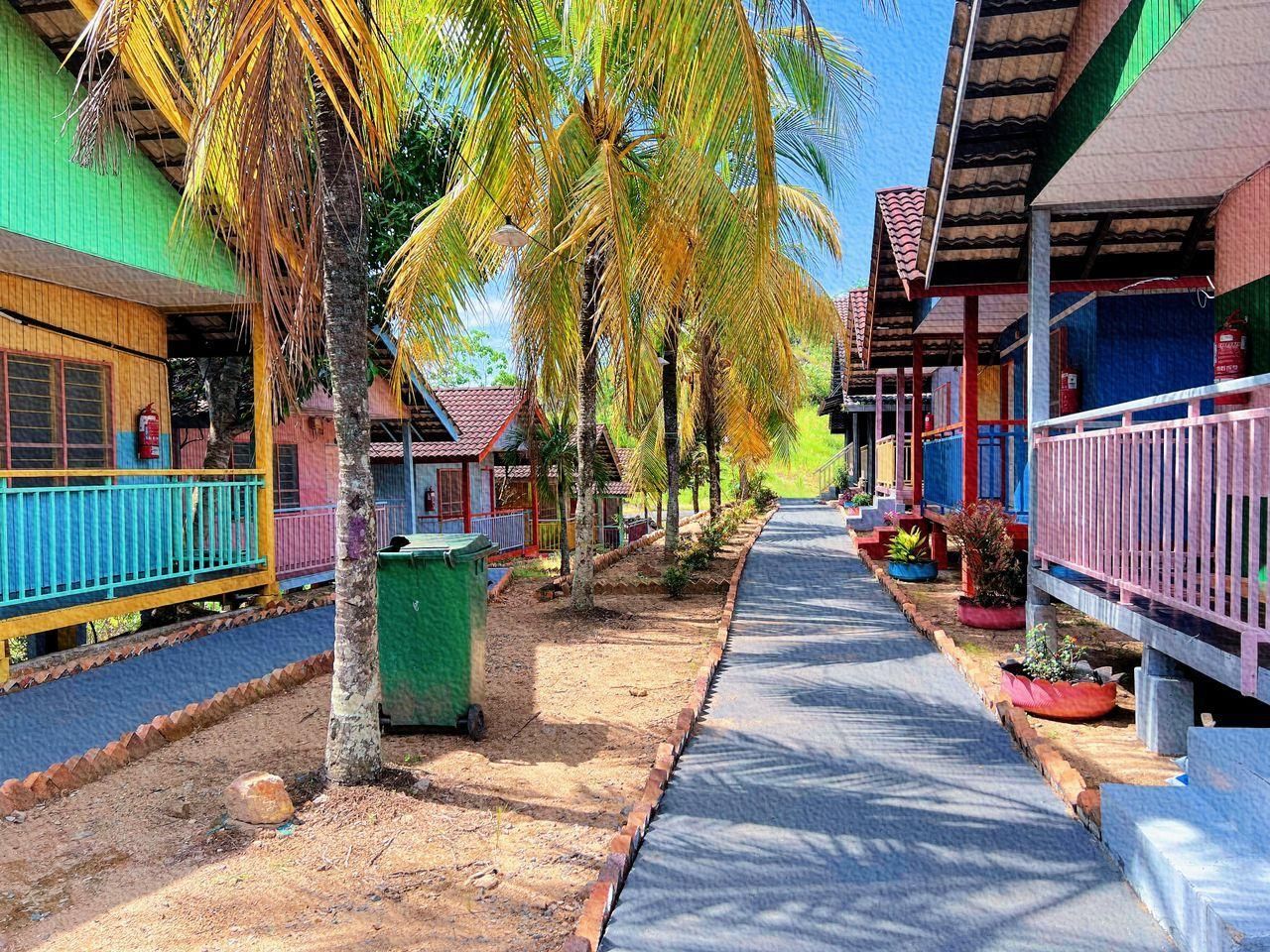 المظهر الخارجي