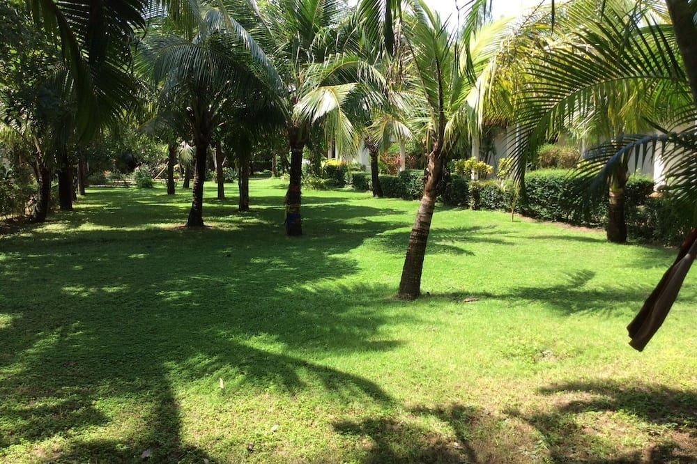 المظهر الخارجي