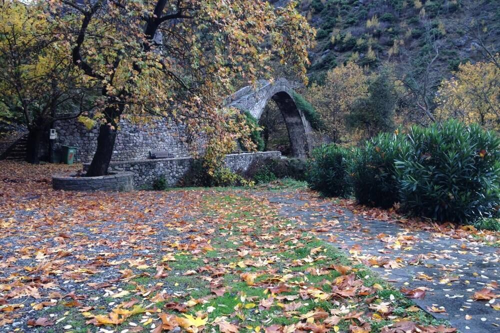 المظهر الخارجي