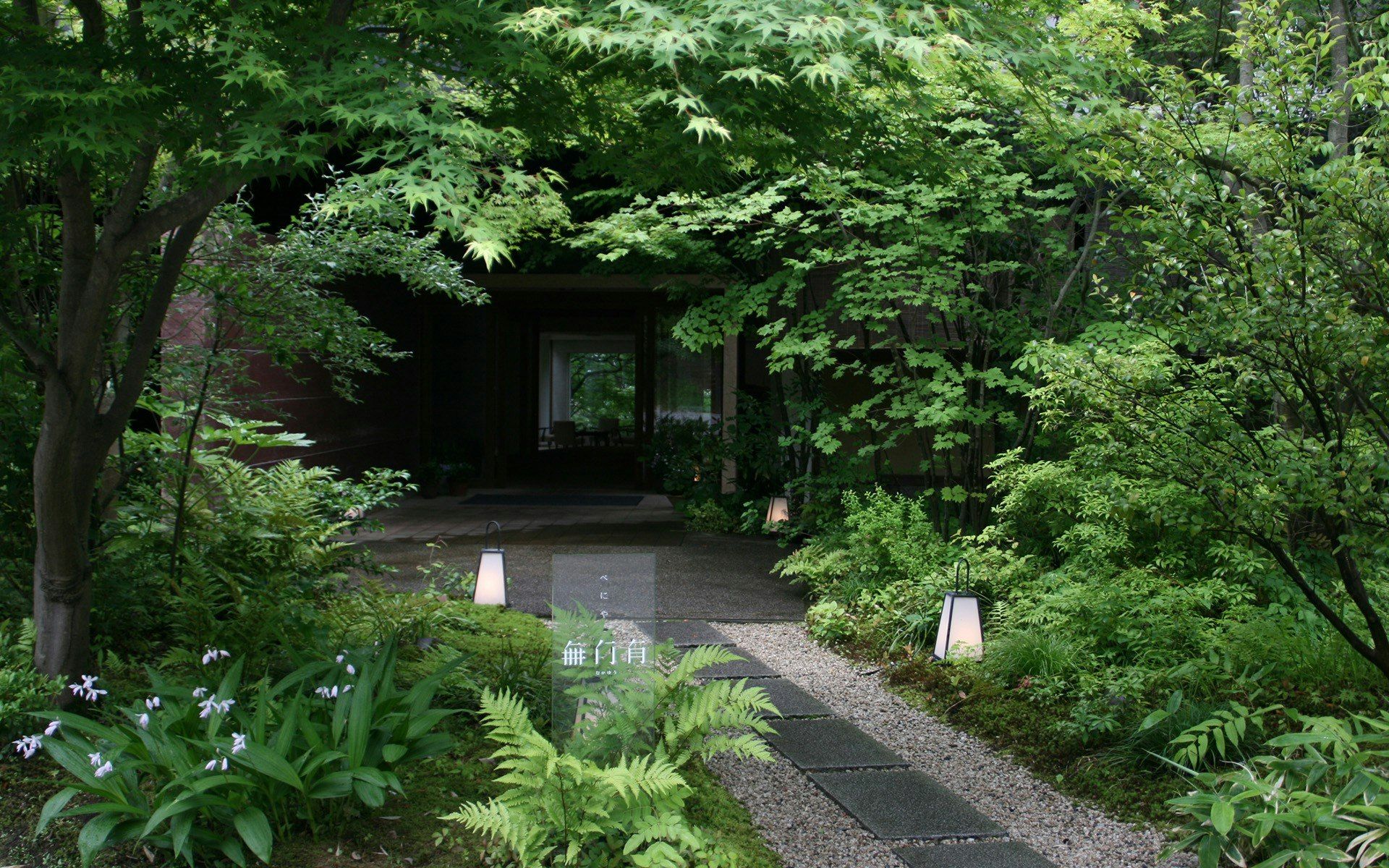 المظهر الخارجي