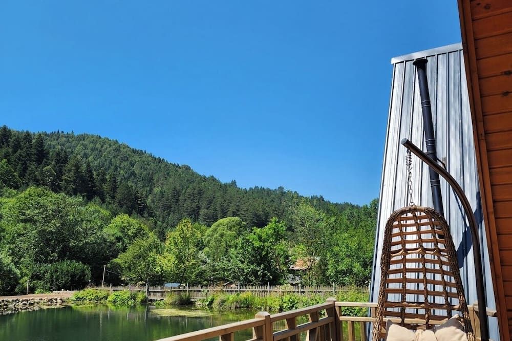 المظهر الخارجي