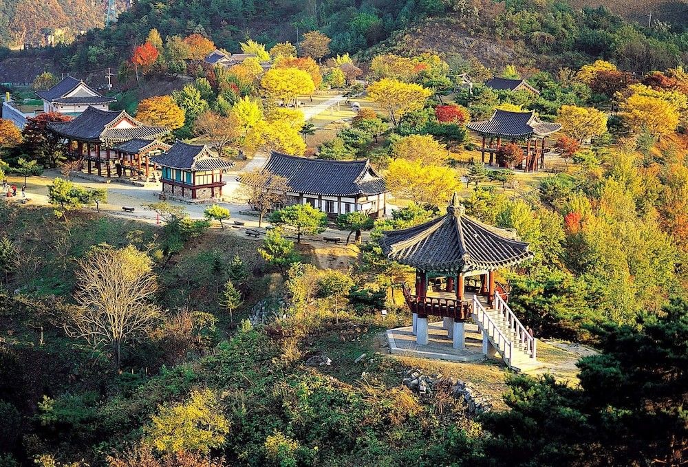 المظهر الخارجي