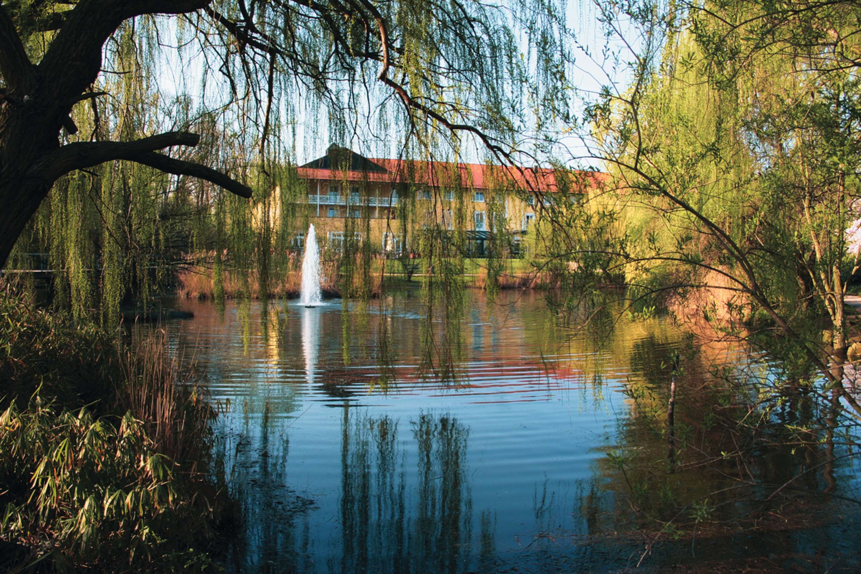 المظهر الخارجي