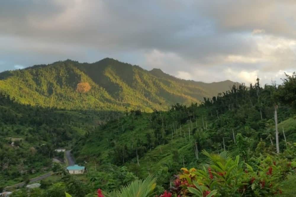 المظهر الخارجي