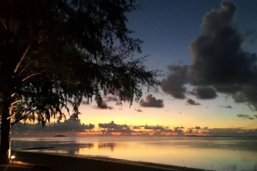 المظهر الخارجي