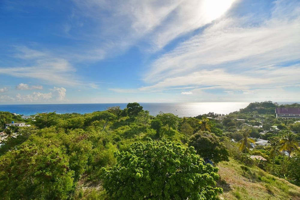 المظهر الخارجي