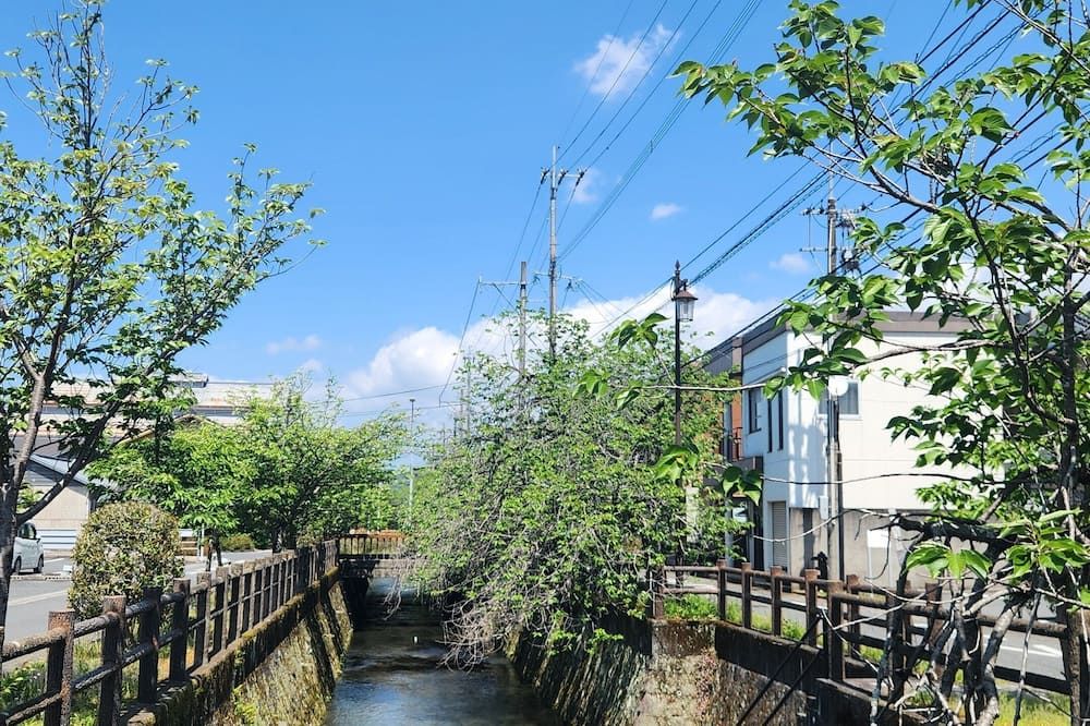 المظهر الخارجي