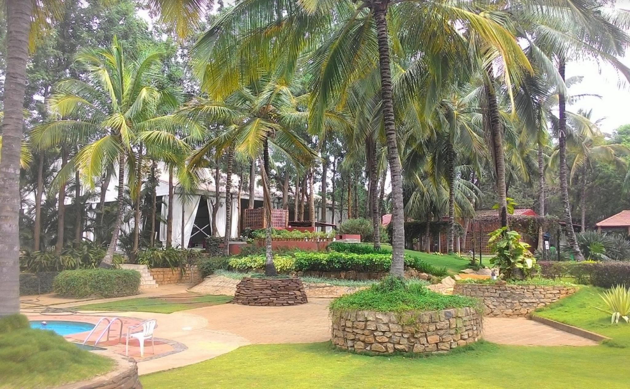 المظهر الخارجي