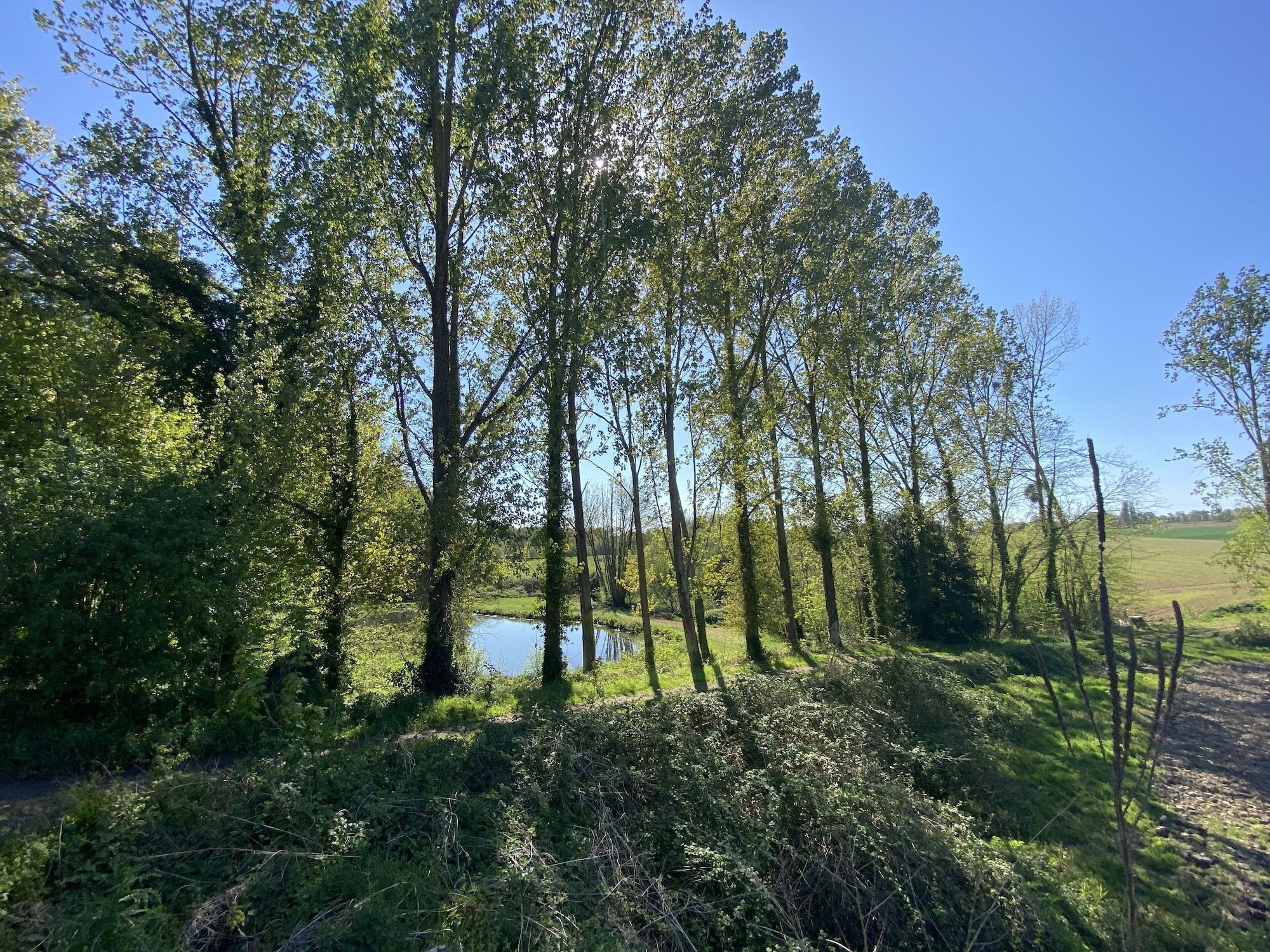 المظهر الخارجي