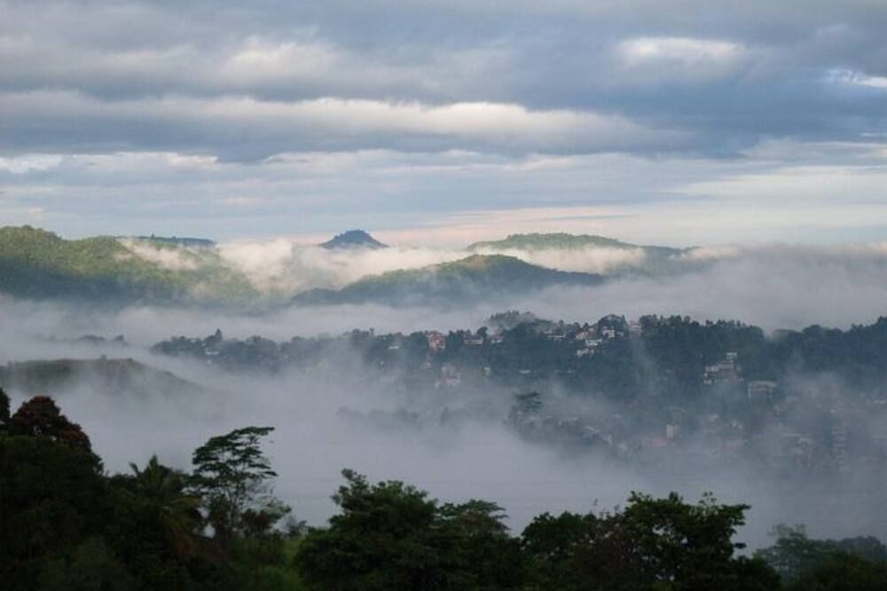 المظهر الخارجي