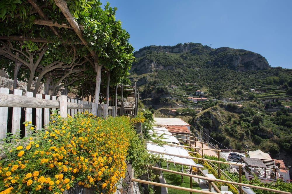 المظهر الخارجي