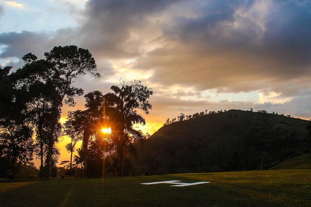 المظهر الخارجي