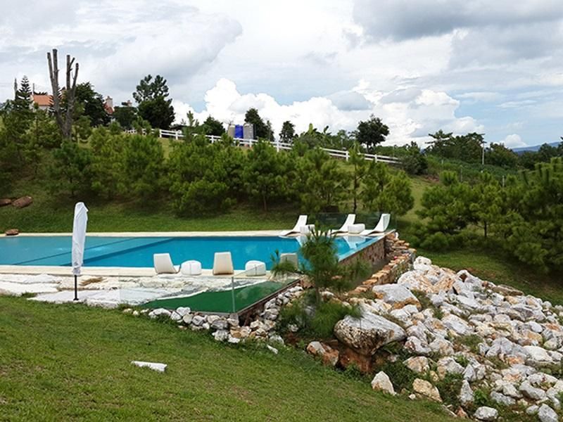 حوض السباحة