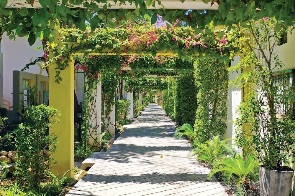 المظهر الخارجي