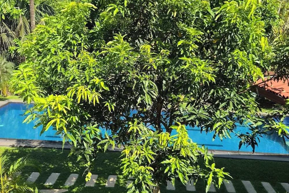المظهر الخارجي