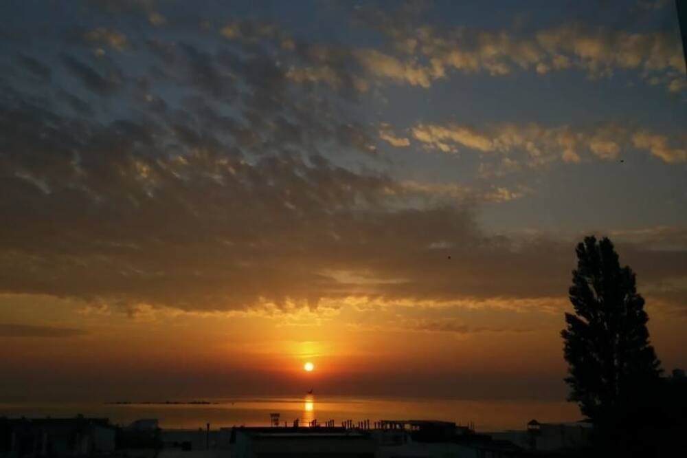 المظهر الخارجي