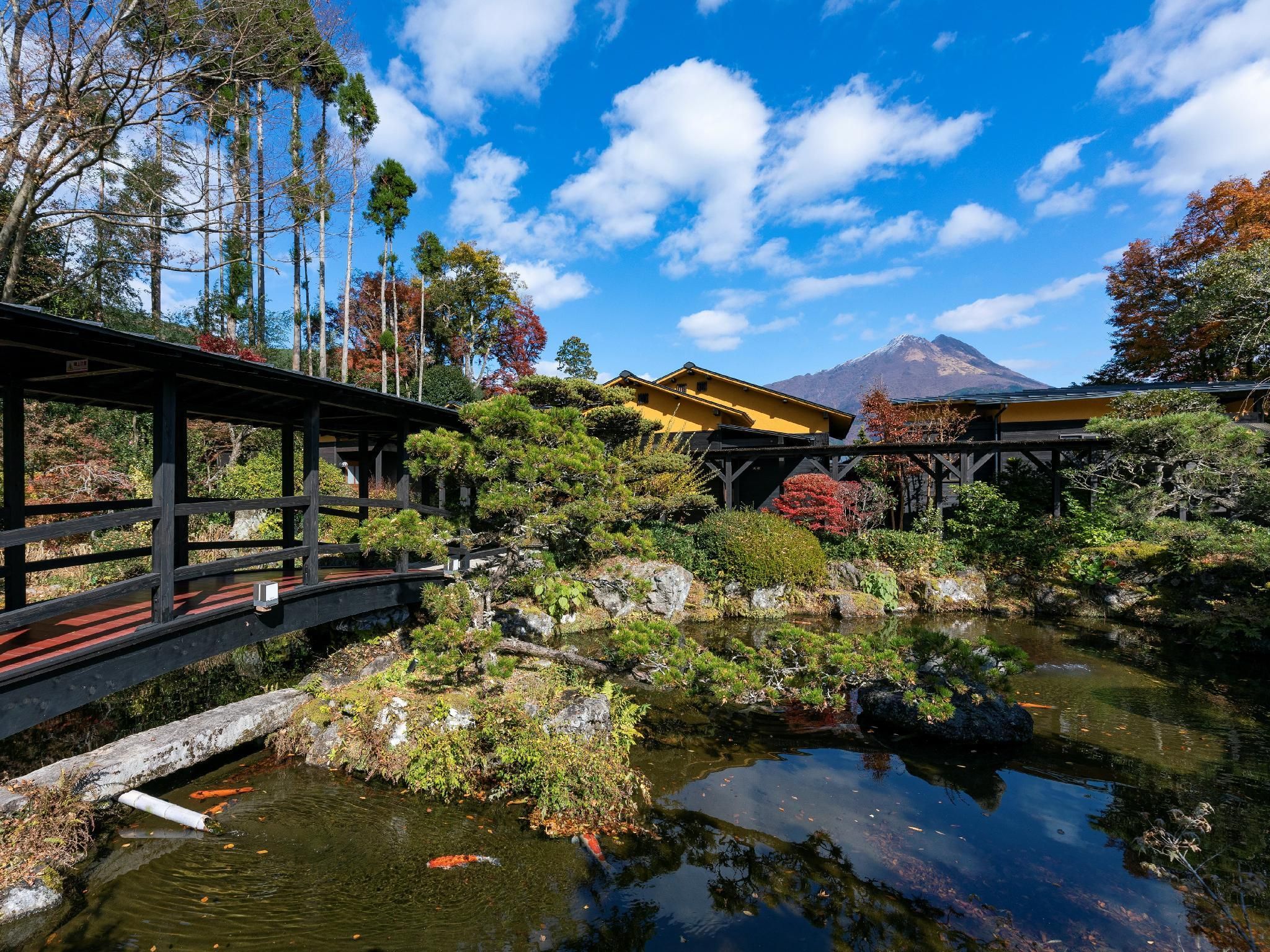 المظهر الخارجي