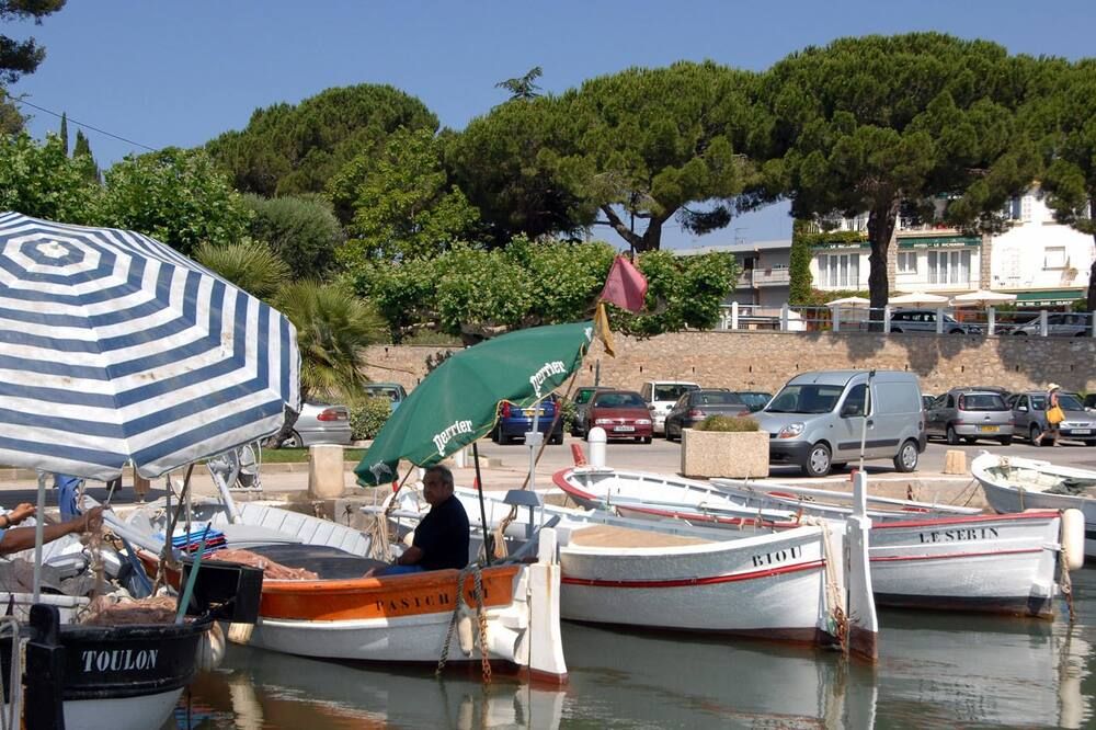 المظهر الخارجي