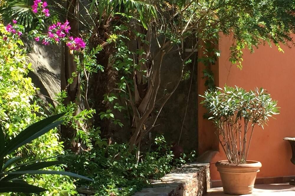 المظهر الخارجي