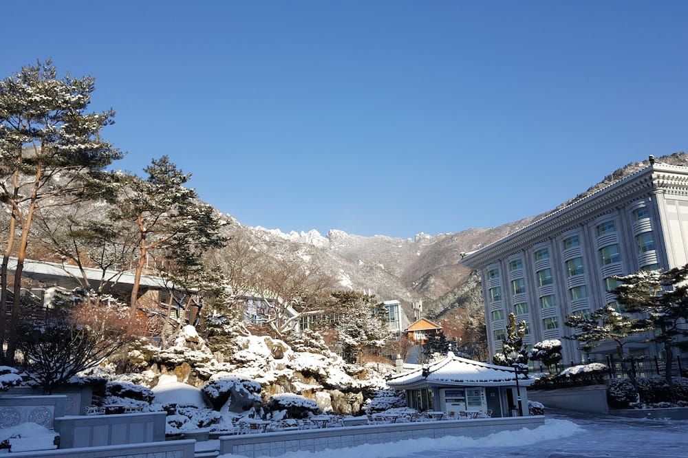 المظهر الخارجي