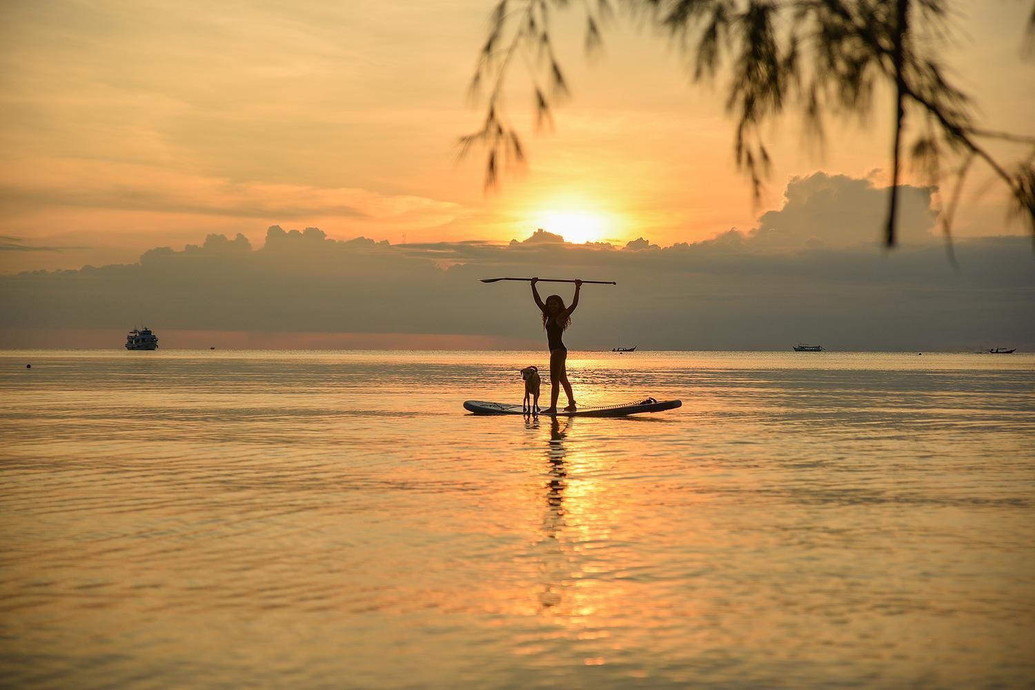 المظهر الخارجي