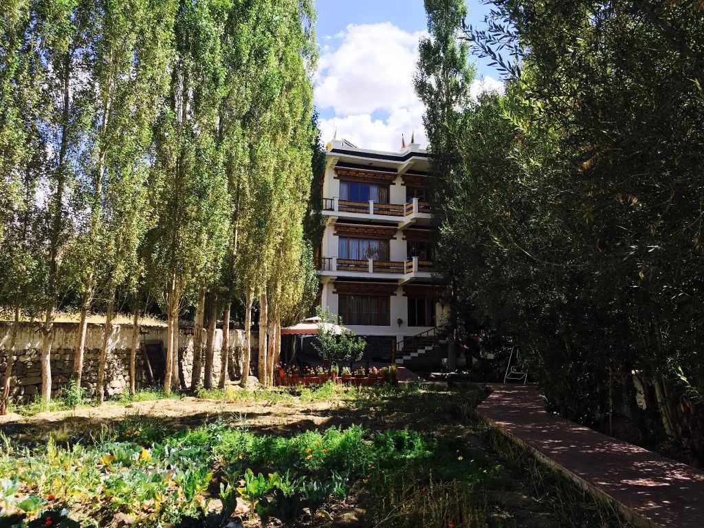 المظهر الخارجي