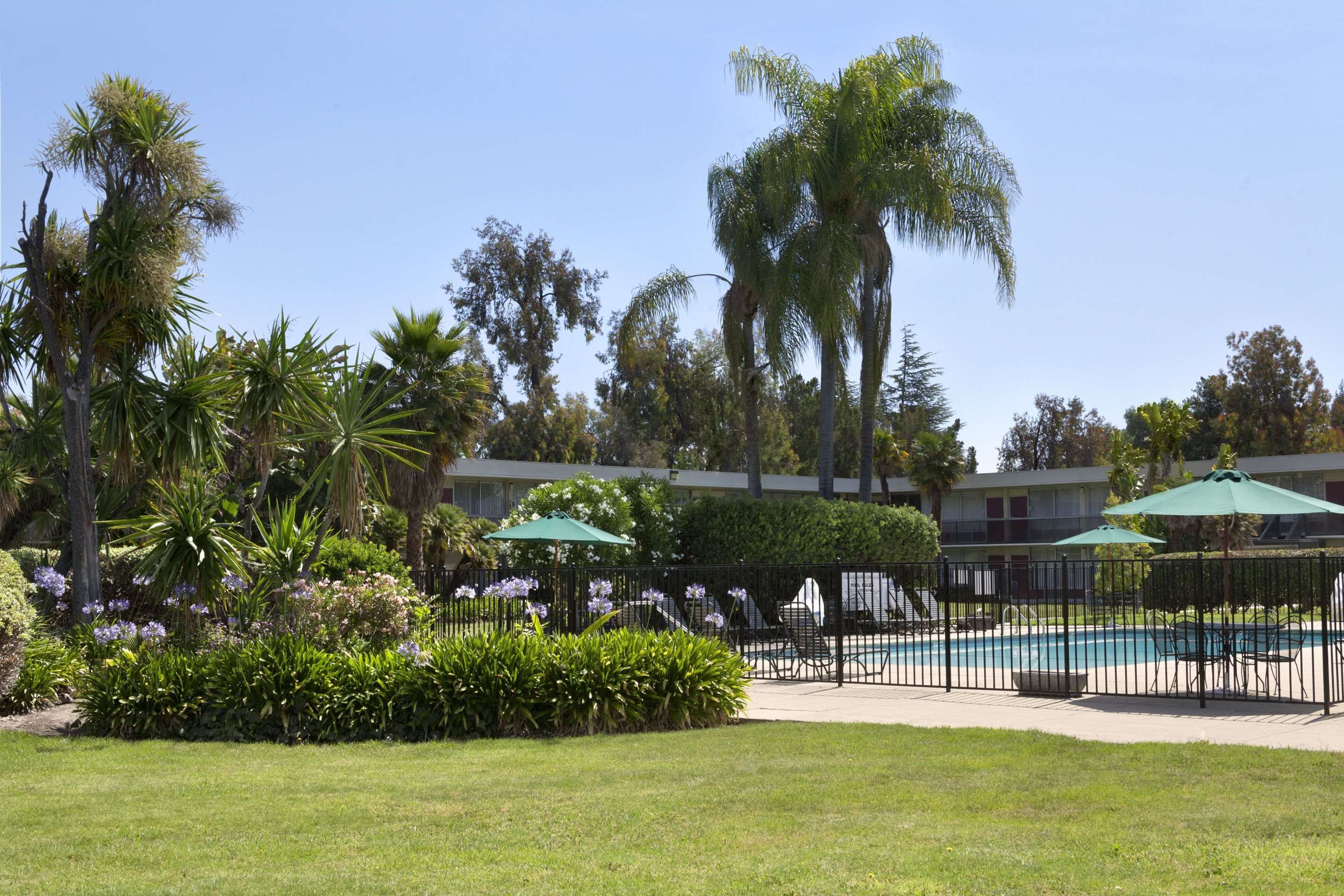 حوض السباحة