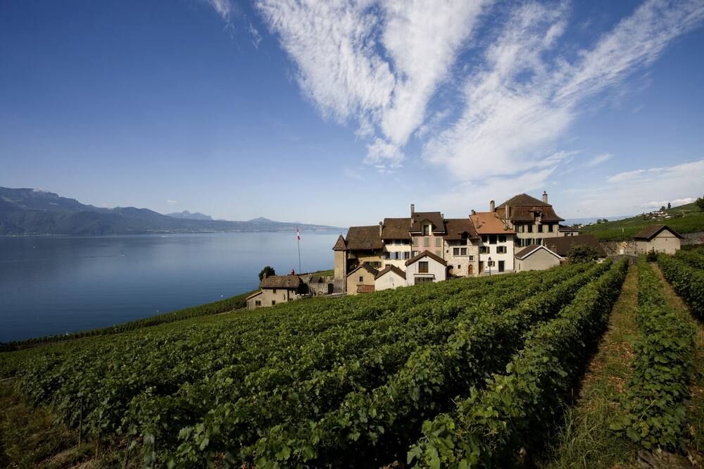 المظهر الخارجي