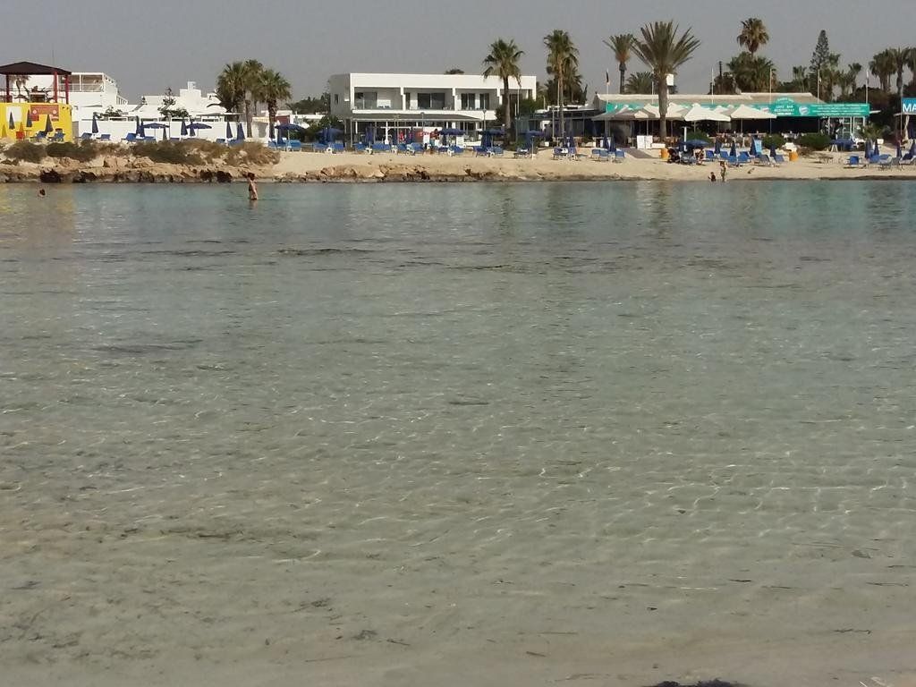 شاطئ
