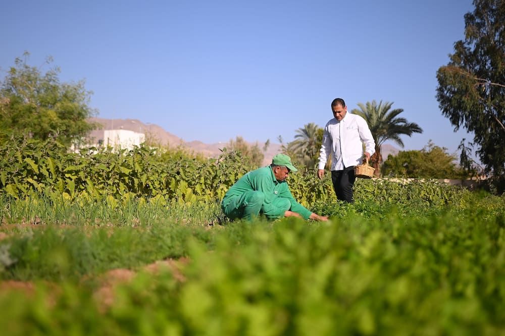 المظهر الخارجي