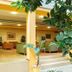 ردهة