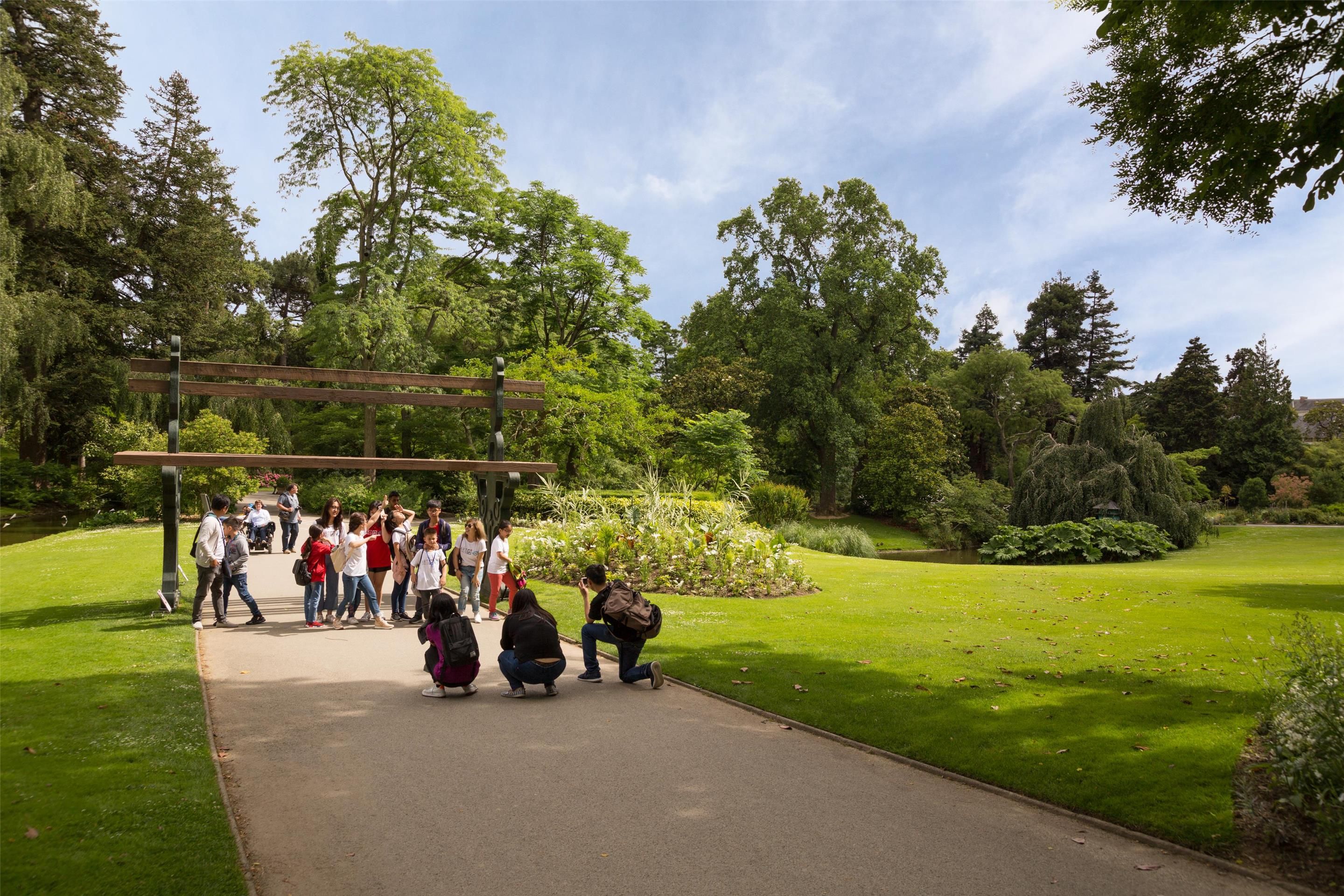 المظهر الخارجي