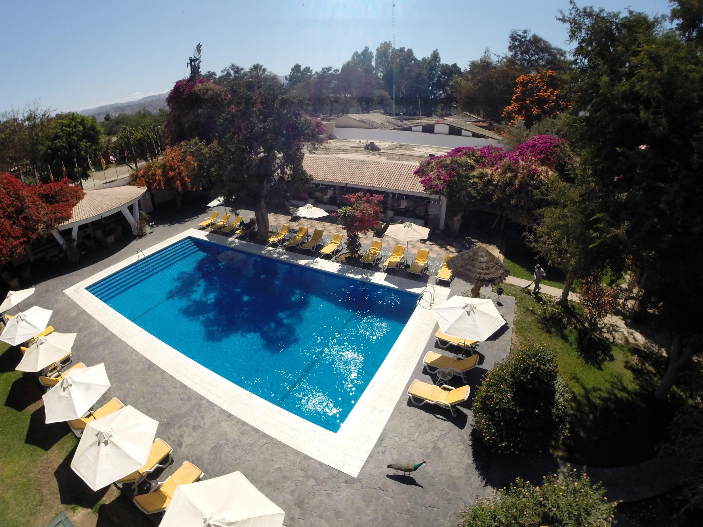 حوض السباحة