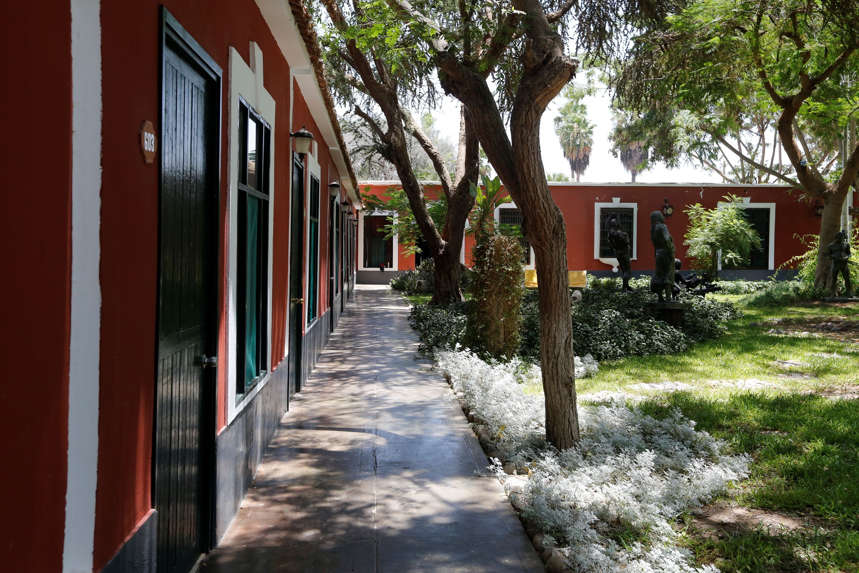 المظهر الخارجي