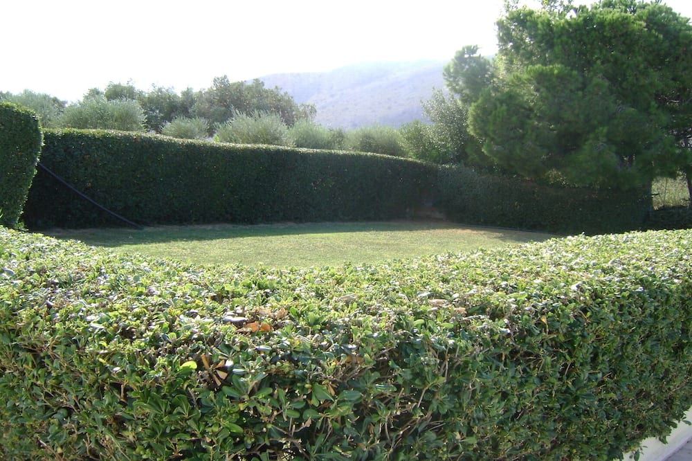 المظهر الخارجي