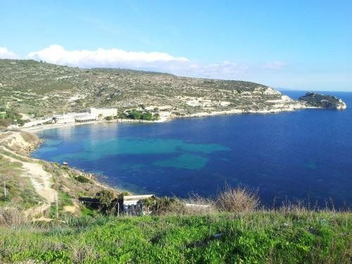 المظهر الخارجي