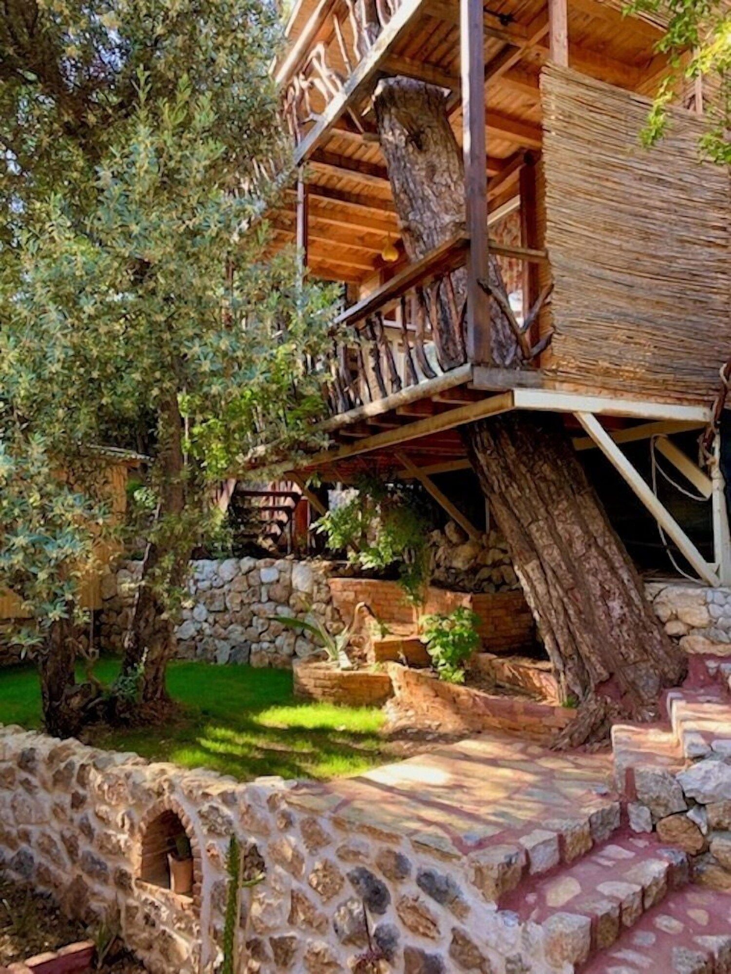 المظهر الخارجي