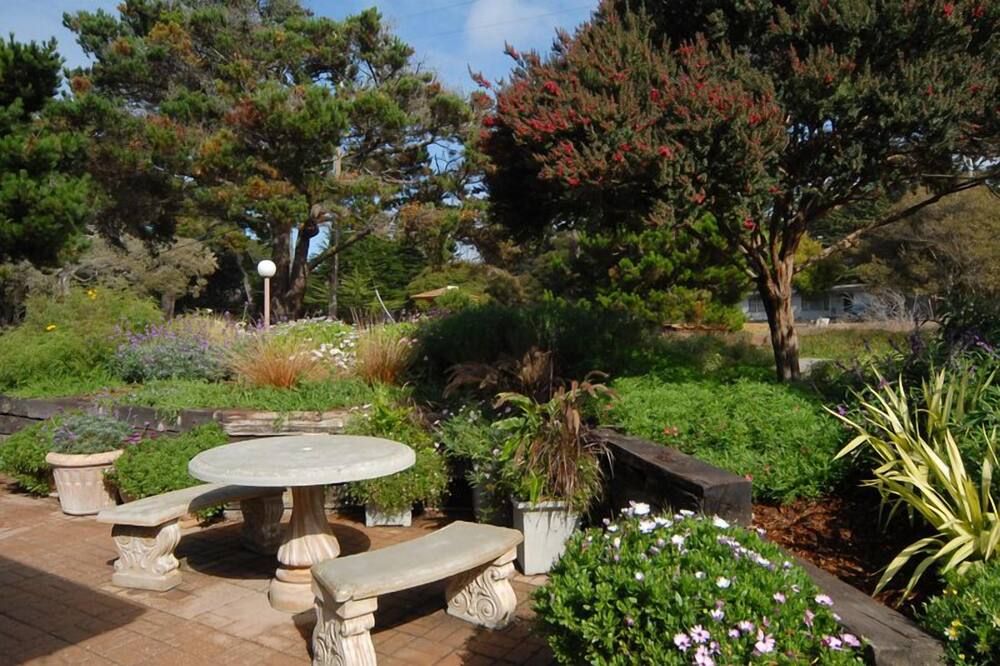 المظهر الخارجي