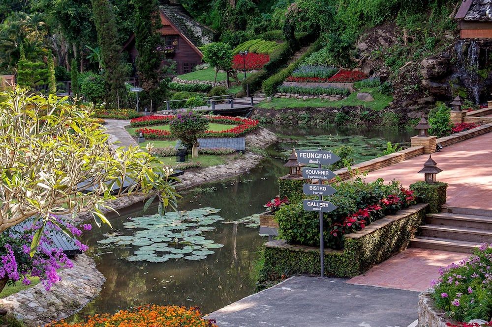 المظهر الخارجي